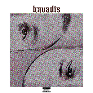 Havadis