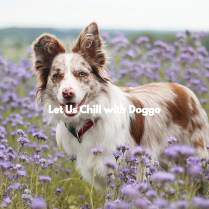 Modish Ambience for The Loving Pups