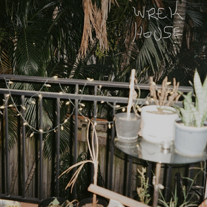 I Want to See You Tonight