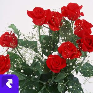 妹家住在山里头 (现场)