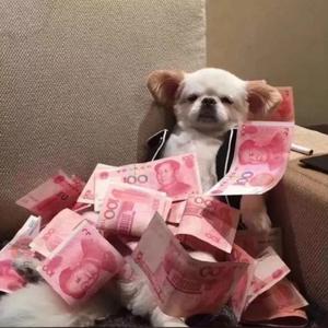 霓（prod by 澜）