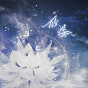 夜蝶（翻自 SNH48）