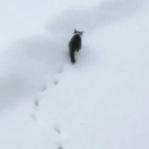 管她幸不幸福（Prod EVO MUSIO)