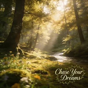 Chase Your Dreams