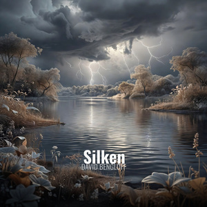 Silken