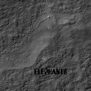 Elephants(Orignal Mix)