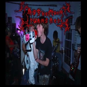 the fog is coming (cavern of time)