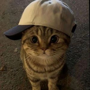 伏黑甚尔进行曲(幻昼版)