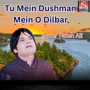 Tu Mein Dushman Mein O Dilbar