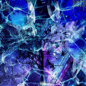 Transcend (feat. panotune)