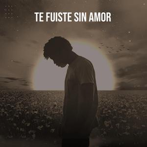Te Fuiste Sin Amor