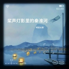 桨声灯影里的秦淮河