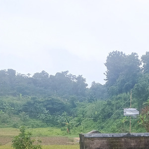 Yg terdalam