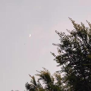 如果下雨的时候你拖着行李箱子站在屋檐下面那么其实我没有足够的时间找一个好点...