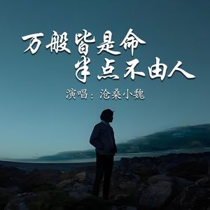 万般皆是命半点不由人