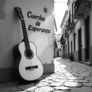 Sol De Jerez