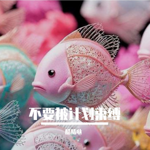 不要被计划束缚