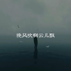 晚风吹啊云儿飘
