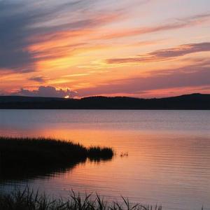 稳稳的幸福 (Cover 陈奕迅)