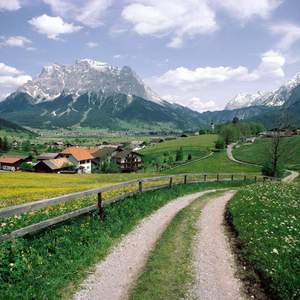 蓝山咖啡_Master 伴奏