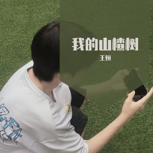 我的山楂树-王恒