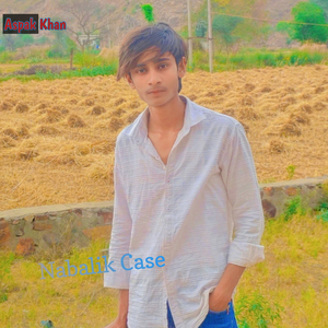 Nabalik Case