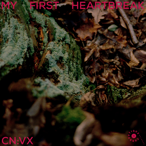 LONELY HEARTS / ECHOES FADE (Original Mix)