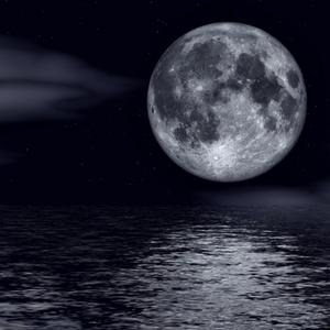 Moonlight (feat. Shaun VI)