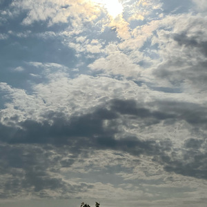 真理の太陽に照らされて