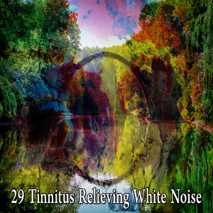 Take A Walk In Nature