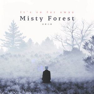 Misty Forest