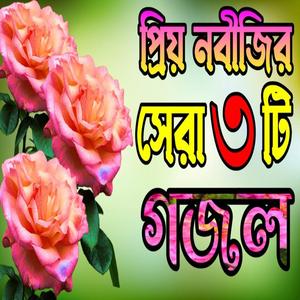 কুকিল কন্ঠে গজলের সেরা তিনটি গজল |বাংলা সেরা তিনটি গজল |Bangla Gojol|বাংলা গজল |Gojol Bangla |Gozhal