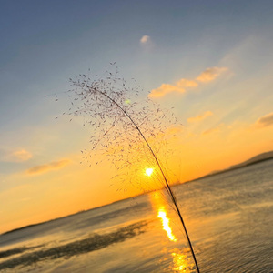 落日之下 (合唱版)