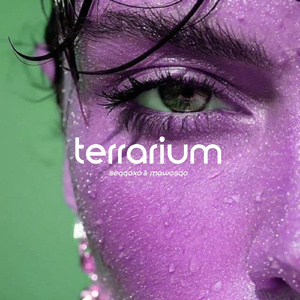 Terrarium