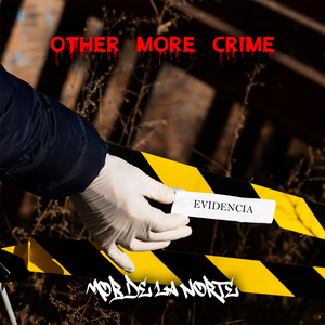 OTHER MORE CRIME (Demo)