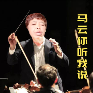 马云你听我说 / 管弦乐 MIX