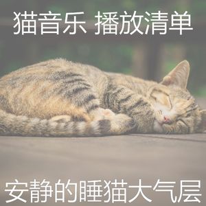 抚慰的睡猫回忆