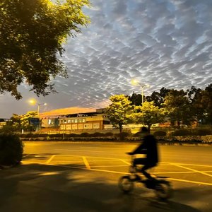 独行侠+爱如潮水remix