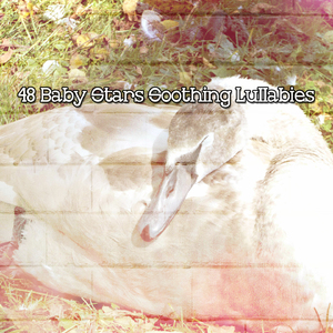 站在地球的肩膀上