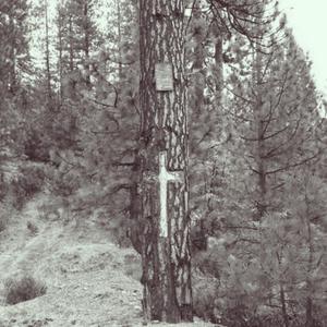 1. Absence Of Light