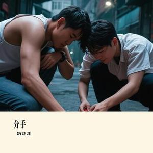 分手 (Cover 小阿枫)