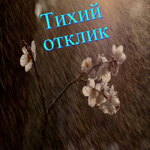 Дымчатый след