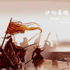 沙场英魄