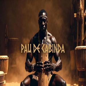 Pau De Cabinda