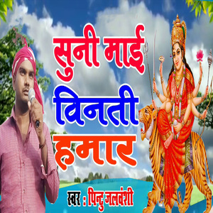 Suni Maai Vinati Hammar