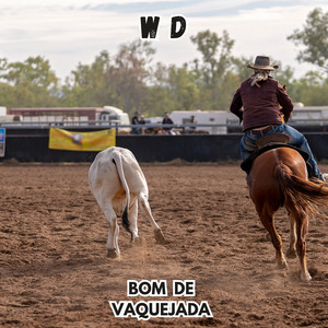 Bom de Vaquejada