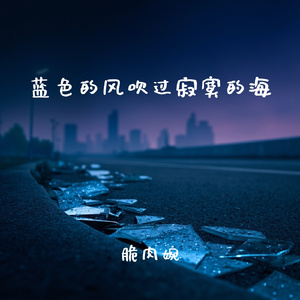 蓝色的风吹过寂寞的海