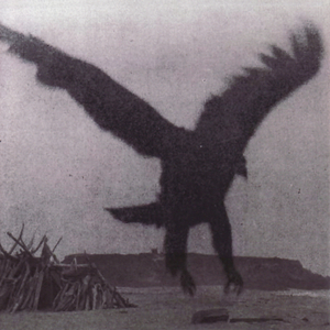 Fortune (Incl. The Morningnight / A Hated Art)