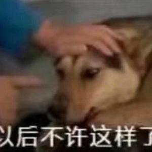 TG不得House