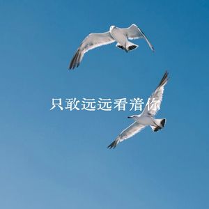 只敢远远看着你